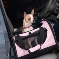Car Seat and Pet Carrier In One