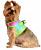 Dog Harness Ombre Collection - Rainbow 1