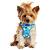 Blue Wrap and Snap Dog Harness 